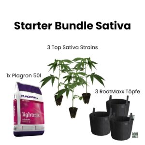 starter-bundle-1-sativa-set