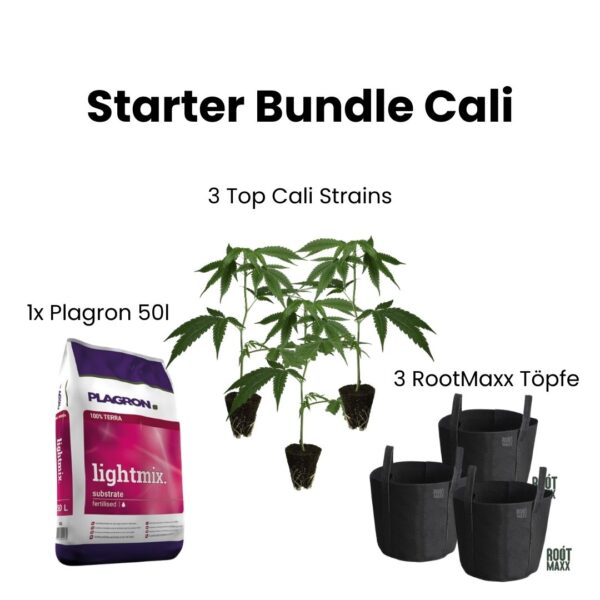 starter-bundle-3-cali-set